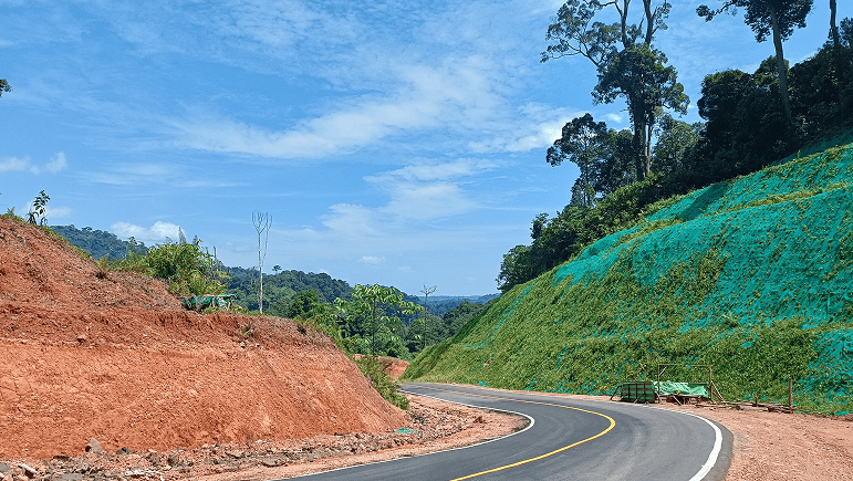 Vegetative Erosion Control Solutions