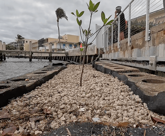 Coastal Erosion and Shoreline Protection